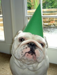 happypat